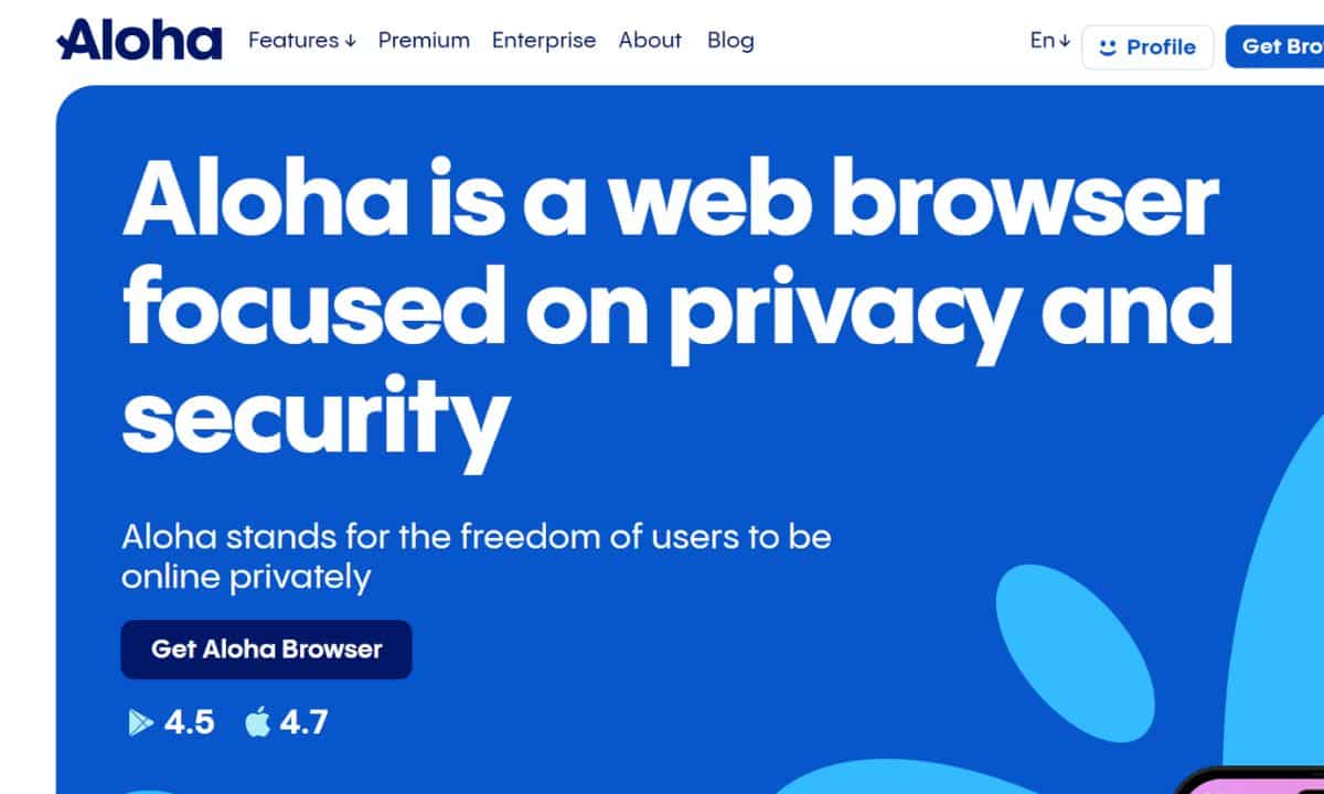 مقارنة بين أفضل 10 متصفحات VPN لعام 2025 18 صفحة ويب لمتصفح ألوها تركز على الخصوصية والأمان