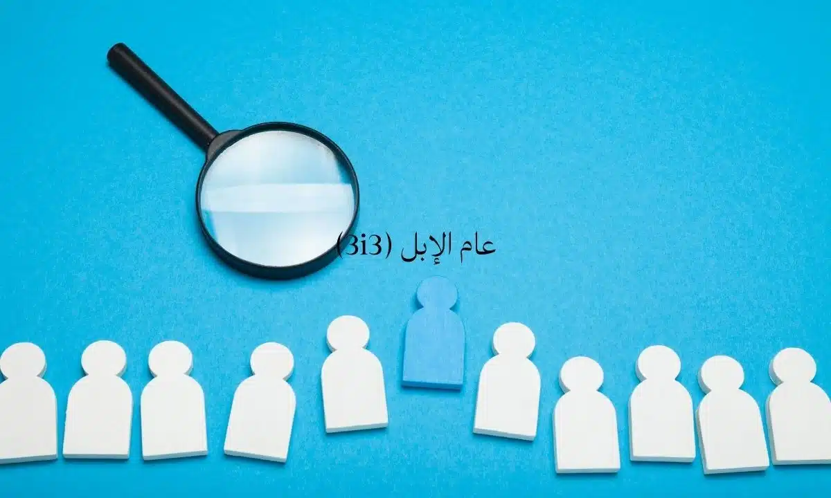 صورة توضح تحليل البيانات باستخدام عدسة مكبرة للتركيز على فرد مميز في مجموعة. 